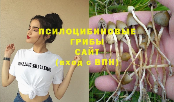герыч Алзамай