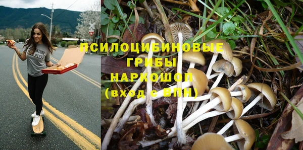 герыч Алзамай