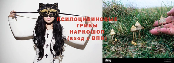 spice Алексин