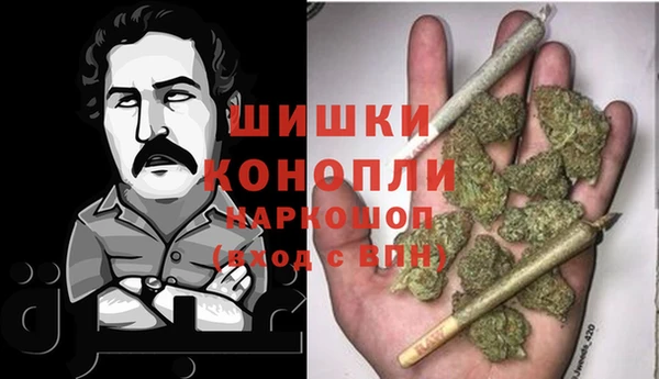 бошки Пересвет